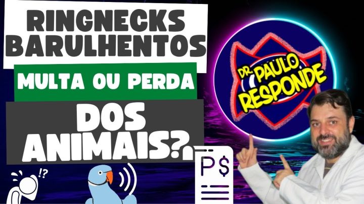 multado - RINGNECKS BARULHENTOS: Corro Risco de Ser Multado ou Perder Meus Animais?🤔🦜