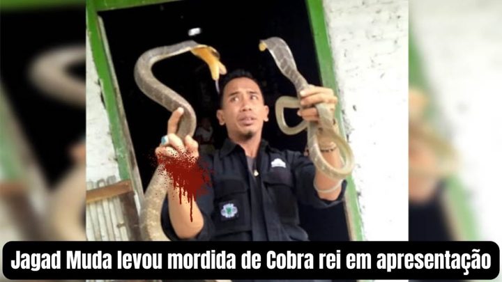 apresentação - Jagad Muda levou mordida de Cobra rei em apresentação @JagadMuda