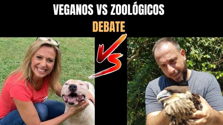 zoológicos - VEGANOS VS ZOOLÓGICOS