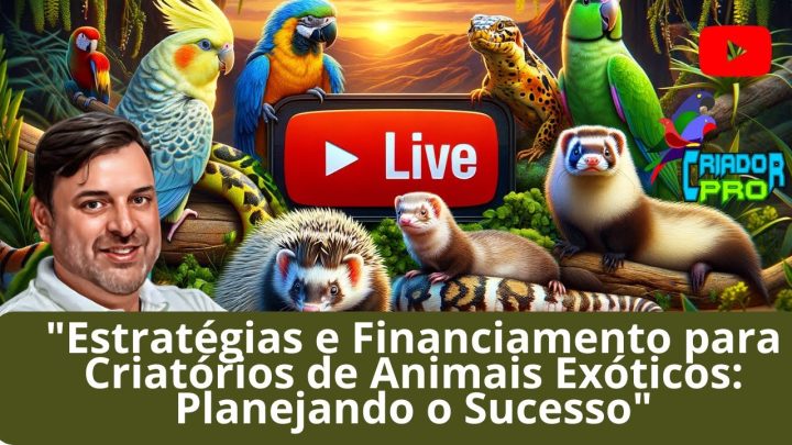 animais - "Estratégias e Financiamento para Criatórios de Animais Exóticos: Planejando o Sucesso"