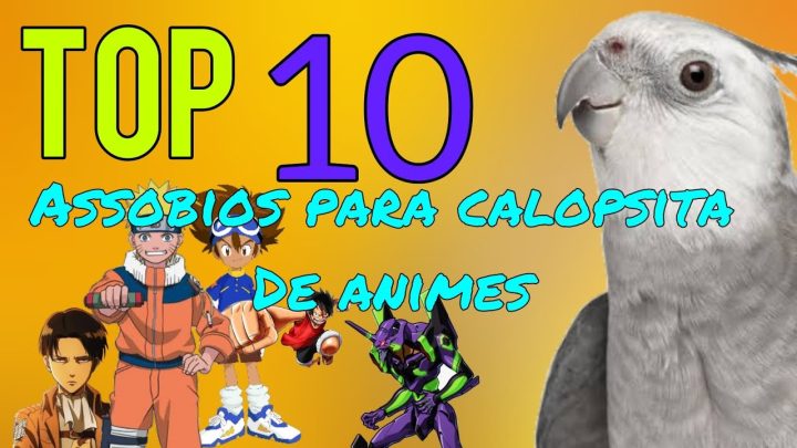 (attack - TOP 10 ASSOBIOS PARA CALOPSITA DE ANIMES - (Attack on titans, One piece, Fairy tail, Naruto, etc.)