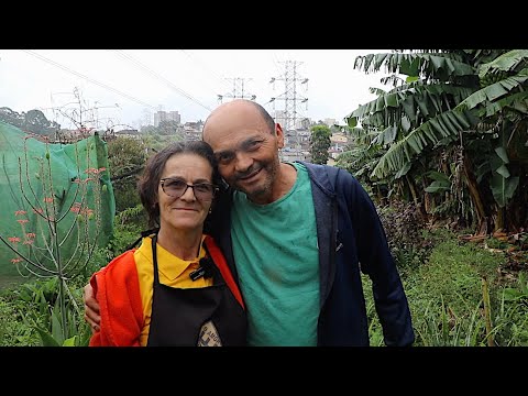 teresinha - A HORTA ORGÂNICA DE JOSENILDO E TERESINHA - SÃO PAULO CAPITAL - PARTE 2