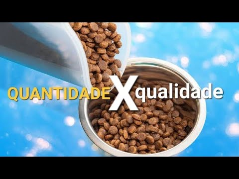 proteínas - Diferenças entre Proteínas na alimentação dos peixes