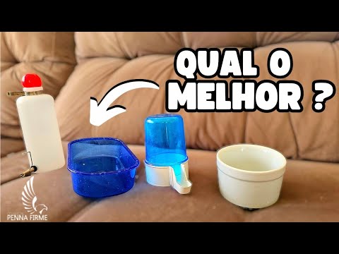 contras - QUAL O MELHOR BEBEDOURO DE ÁGUA USAR PARA AVES ? - PÓS E CONTRAS DE CADA UM