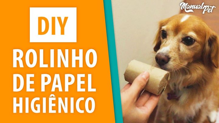 rolinho? - DIY - Rolinho de papel higiênico para o seu pet!