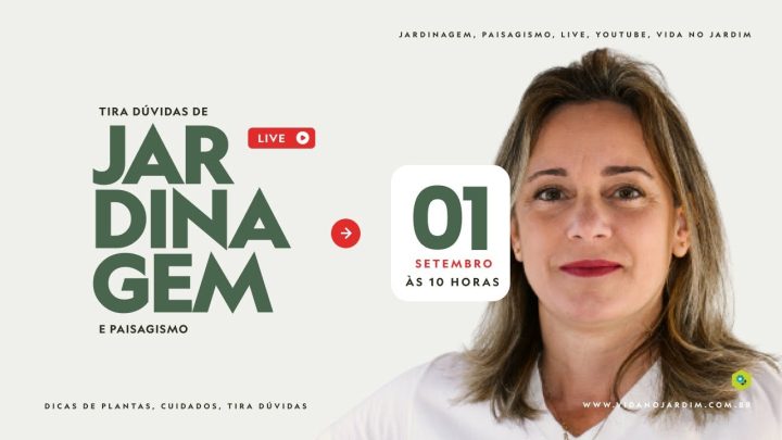 Dicas de Jardinagem - Live Jardinagem - 01.09.2024 às 10:00 Horas - Lucia Borges