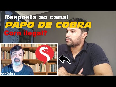 animal - Corn snake legal no Brasil? Resposta ao canal @PapodeCobra | DORIVAL LIMA - ALETO ANIMAL