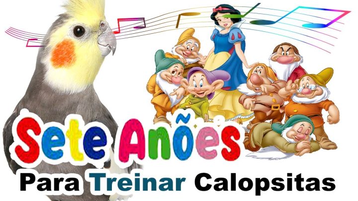 anÕes - Assobio calopsita - canto branca de neve e os sete anões para treinar calopsita