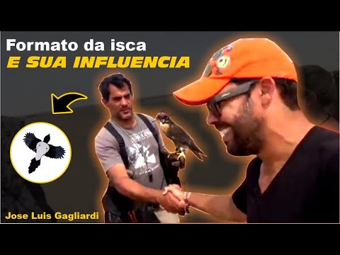 animal - A influência da isca no tipo de PRESA, por Jose Luis Gagliardi | DORIVAL LIMA - ALETO ANIMAL