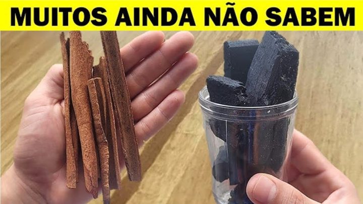 hortas - É só bater CANELA com CARVÃO e não precisa mais comprar no mercado!!