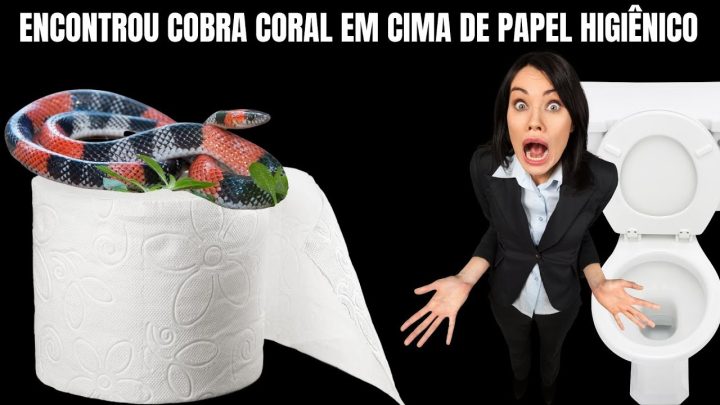 higiÊnico, - Foi usar o Banheiro e Encontrou Cobra Coral em cima de papel Higiênico | Biólogo Henrique