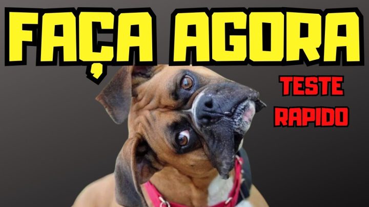 Dicas de Adestramento - POR QUE MEU CACHORRO FICA VIRANDO A CABEÇA #cachorro #curiosidades