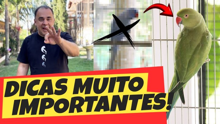 mais - 3 DICAS PARA JUNTAR O CASAL MAIS LUCRATIVO NA TEMPORADA