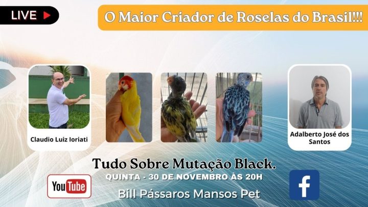 black. - TUDO SOBRE ROSELA BLACK!!!