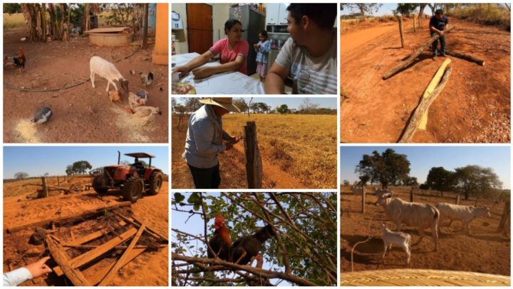 puxado - DIA PUXADO DE SERVIÇO AQUI NA FAZENDA| ENCHENDO O MAT@ BURRO DE TERRA| TERMINANDO A REFORMA DA CERCA