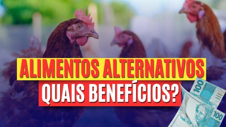 alternativos - ALIMENTOS ALTERNATIVOS quais os Benefícios?