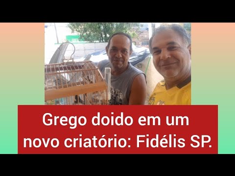 proprietário - Grego Doido Com novo Proprietário.