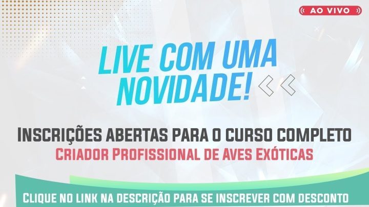 falta - O QUE FALTA PARA VOCÊ SE TORNAR UM CRIADOR DE SUCESSO?