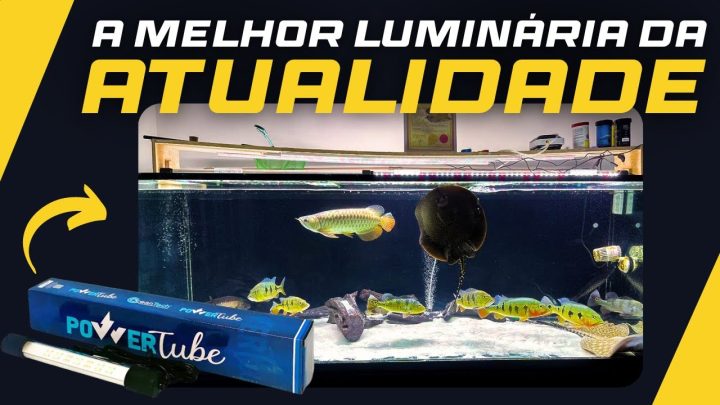 atualmente - POWER TUBE: SAIBA TUDO SOBRE A LUMINÁRIA COM MELHOR CUSTO BENEFÍCIO DO MERCADO ATUALMENTE!