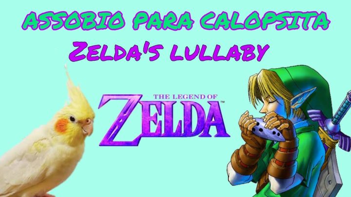 lullaby - ASSOBIO PARA CALOPSITA - ZELDA'S LULLABY - JOGO THE LEGEND OF ZELDA - COCKATIEL WHISTLE