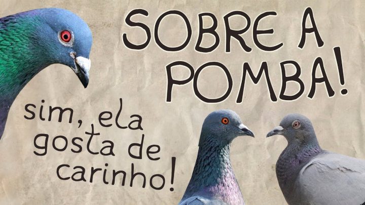 pomba! - Sobre a Pomba! - Parte 03