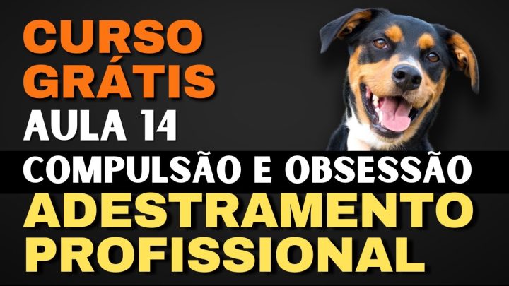 cães - Aula 14 - Compulsão e Obsessão - Curso de Profissionais #adestramento #cães