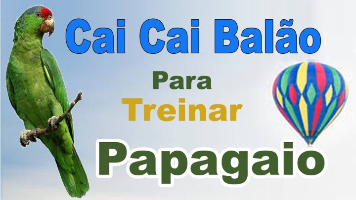 balÃo - Assobio cai cai balão para papagaio - canto cai cai balao para treinar papagaio