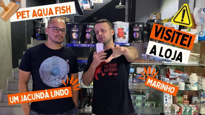 jacundá - FUI VISITAR A LOJA PET AQUA FISH!!! (JACUNDÁ ENORME E NA PROMOÇÃO)