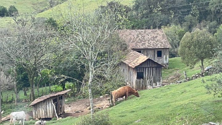 garibalde - UM LINDO DIA NA ESTRADA COM JJ88 DE CARONA POR ANITA GARIBALDE