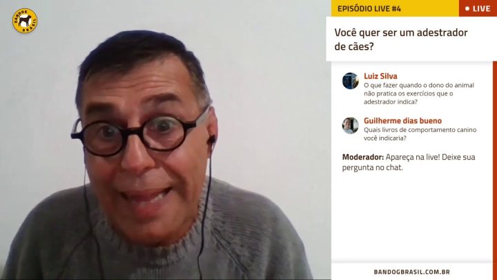 cães - O que fazer quando o dono do animal não pratica os exercícios que o adestrador indica?