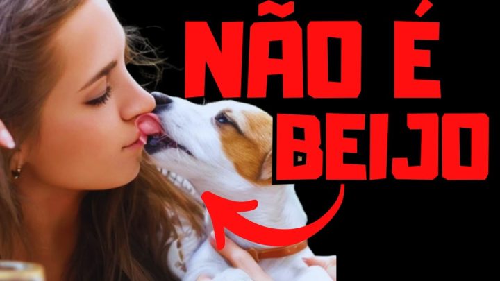 Dicas de Adestramento - POR QUE O CACHORRO LAMBE SEM PARAR E FICA SE LAMBENDO SEMPRE