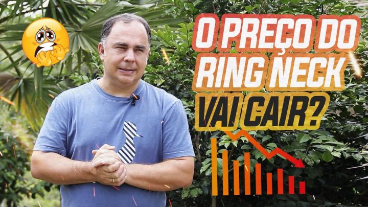 esperar - PREÇOS DE RING NECK EM 2024: O QUE ESPERAR?