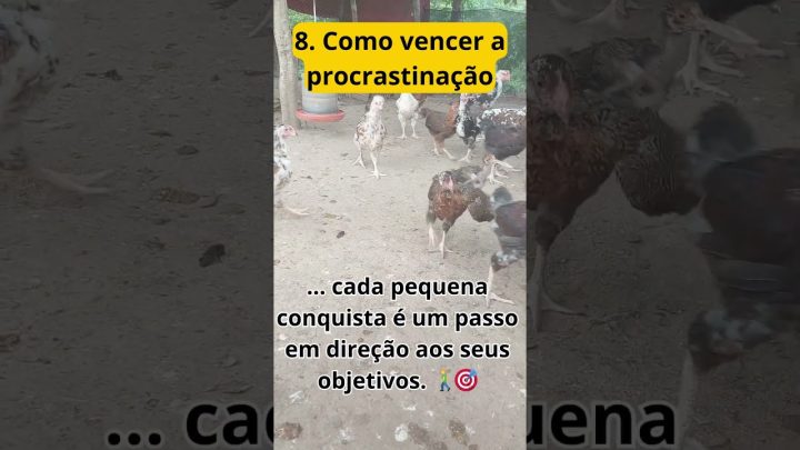 procrastinaÇÃo - COMO VENCER A PROCRASTINAÇÃO