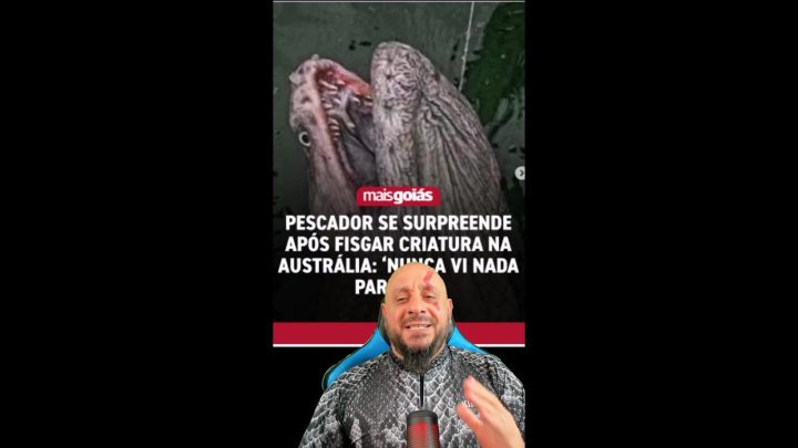 parecido - Pescador se surpreende após fisgar criatura na Austrália: ‘Nunca vi nada parecido’