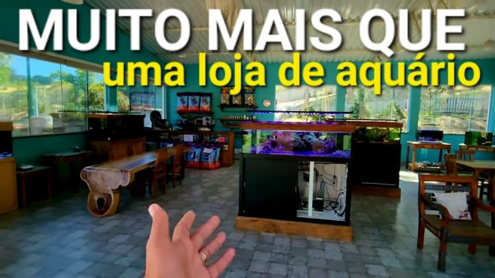 atibaia - visita a Carpa Brasil um local para Aquaristas em Atibaia SP!