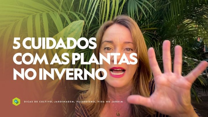 Dicas de Jardinagem - 5 CUIDADOS com as PLANTAS no INVERNO