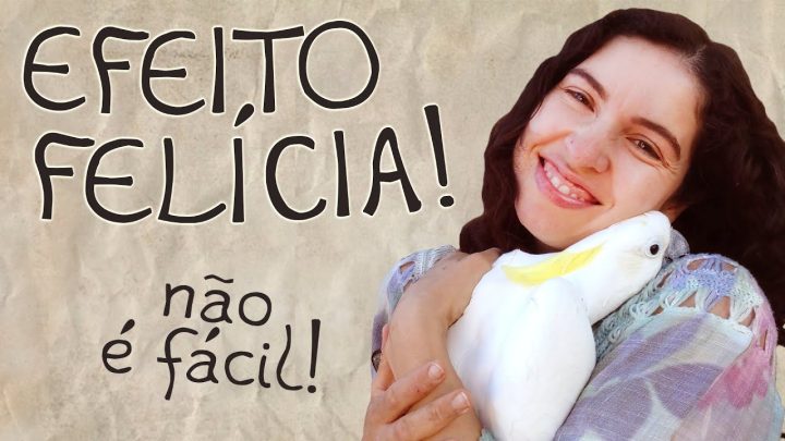 felicia - Efeito Felícia!