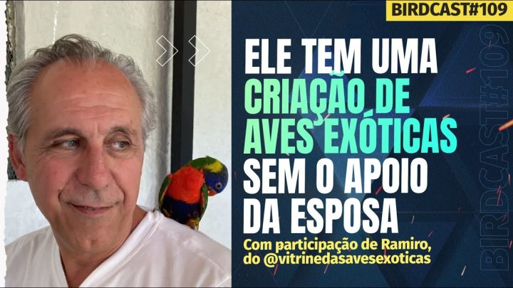 ele!!!! - ELE CRIA AVES EXÓTICAS SEM O APOIO DA ESPOSA #109