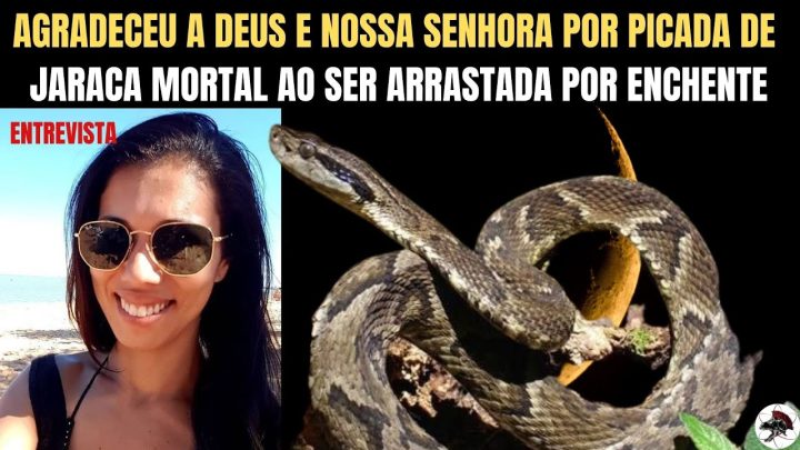 senhora - Mãe agradece a Deus e Nossa Senhora por ter sido picada por Jararaca MORTAL em enchente.