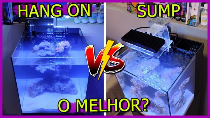 traseiro, - Aquário Marinho de Hang On Vs Sump Traseiro! - Qual o MELHOR?