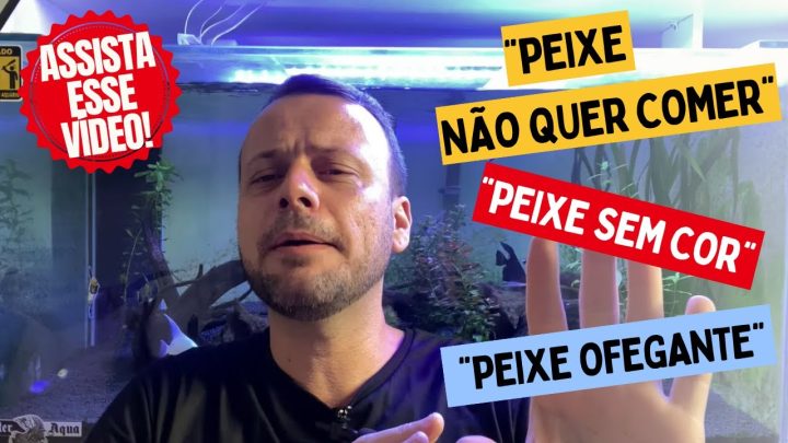 afetar - COMO A AMÔNIA E O NITRITO PODEM AFETAR OS MEUS PEIXES ?!