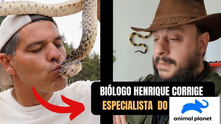 corrige - Biólogo Henrique corrige especialista do @AnimalPlanetBR