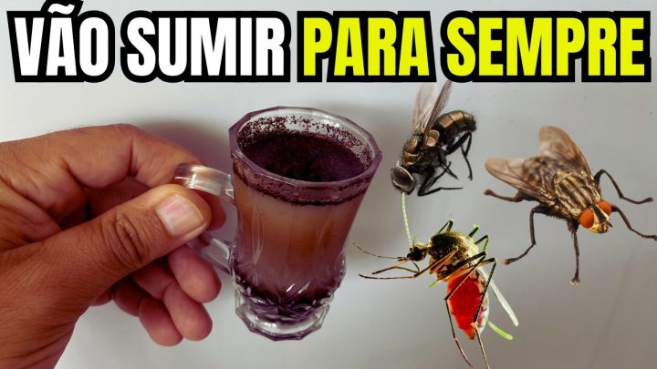 pernilongos - Isso Faz Pernilongos, Moscas e Mosquitos SUMIREM PARA SEMPRE