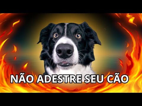 simplesmente - SIMPLESMENTE NÃO ADESTRE