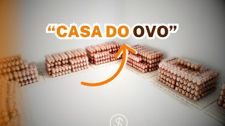 Criação de Galinhas - CASA do OVO: regularizar a venda de OVOS CAIPIRA