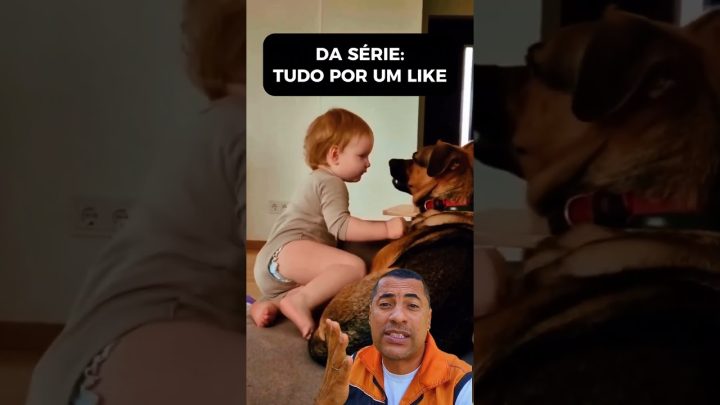 Dicas de Adestramento - 🟡Cuidado entre crianças e cães. monitore sempre e não as usem pra ganhar likes. me segue aqui