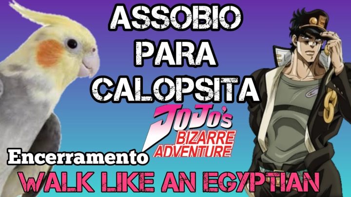 encerramento - ASSOBIO PARA CALOPSITA - JOJO BIZZARE ADVENTURE - ENCERRAMENTO 3 - WALK LIKE AN EGYPTIAN