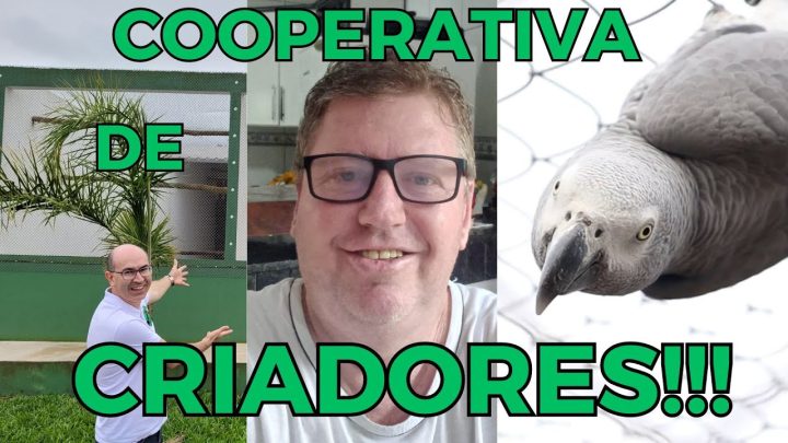 integraÇÃo - A IMPORTÂNCIA DA INTEGRAÇÃO DE CRIADORES!!!Cortes da Live.