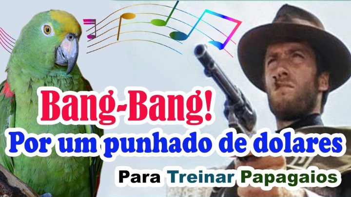 punhado - Assobio papagaio - bang bang - por um punhado de dólares para treinar papagaio