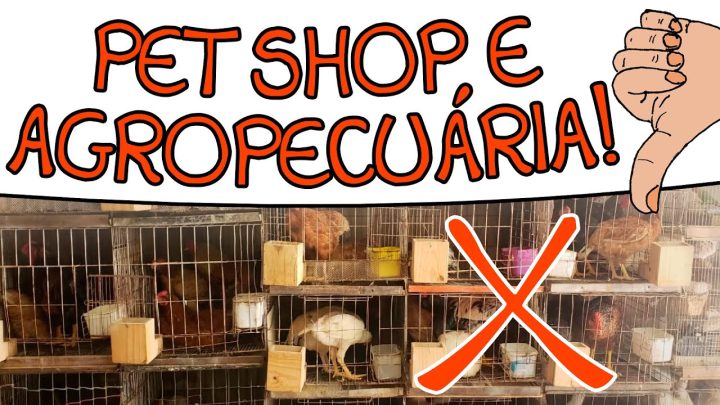 agropecuária - Pet Shop e Agropecuária?